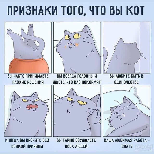 ПРИЗНАКИ ТОГО ЧТО ВЫ КОТ ВЫ ЧАСТО ПРИПИМАЕТЕ ПАОХИЕ РЕШЕНИЯ БЫ ВСЕГДА ГПАОЛНЫ И МПЁТЬ ЧТО ВАО ПОКОРМЯТ ВЫ АЮБИТЕ БЫТЬ В ОПИМОЧЕБТОЕ ИПОША ВЫ ВРОЧИТЕ БЕЗ ВБЯКОИ ПРИЧИНЫ вы ТАИип ОБУИШАЕТЕ всех мыши ВАША АЮБИМАЯ РАБОТА СПАТЬ