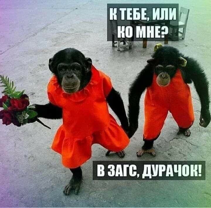 ТЕБЕ ИЛИ МНЕ