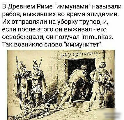 В Древнем Риме иммунами называли рабов выживших во время эпидемии Их отправляли на уборку трупов и если после этого он выживал его освобождали он получал іттипітаз Так возникло слово иммунитет гэтгшх дп