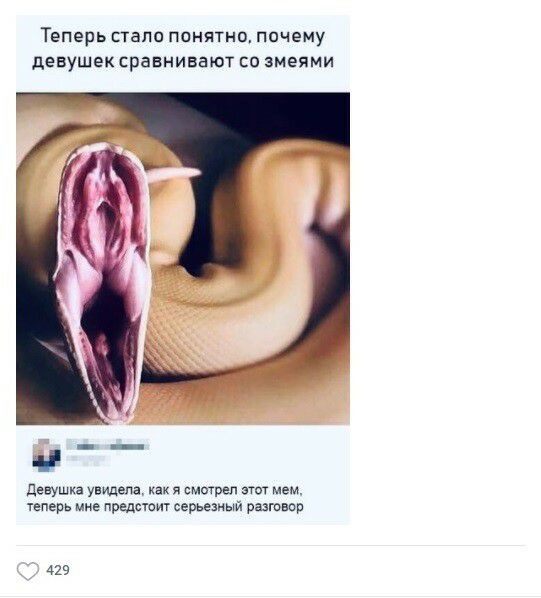 Теперь стало понятно почему девушек сравнивают со змеями Девушка увидела как я смотрел тт мем теперь мне предают серьезный рыюнар 429