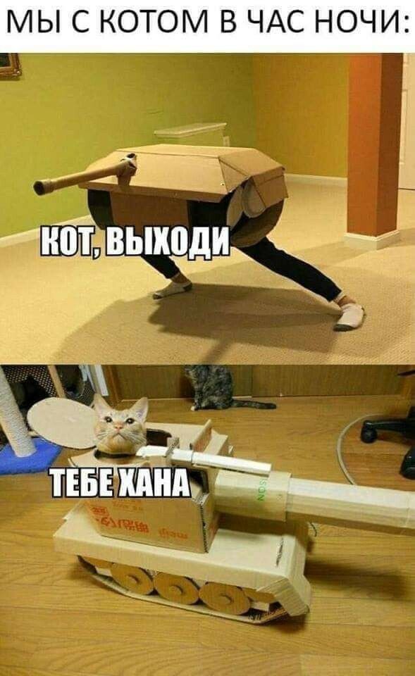 МЫ С КОТОМ В ЧАС НОЧИ