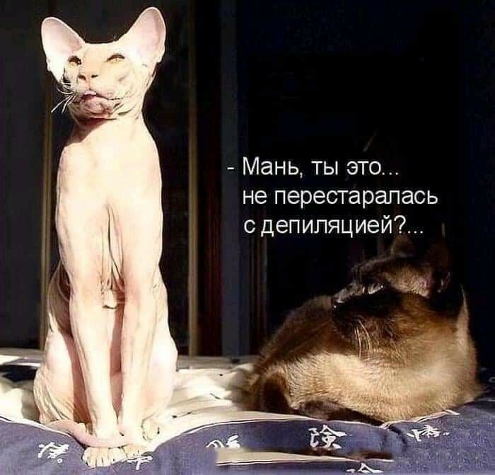 Мань ты это не перестаралась с депиляцией А