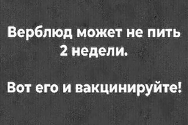 ВЁЁЁПЮ