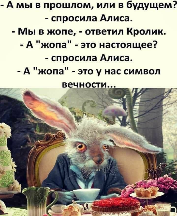 А мы в прошлом или в будущем спросила Алиса Мы в жопе ответил Кролик А жопа это настоящее спросила Алиса А жопа это у нас символ венности