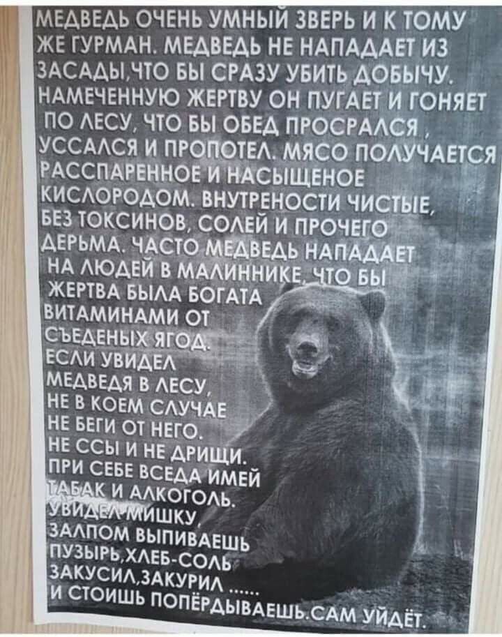 МЕАВЕАЬ очвнь умныи ЗВЕРЬ и к тому же гугмдн медведь не НАПАААЕТ из ЗАСААынто вы СРАЗУ увить АОБЫЧУ НАМЕЧЕННУЮ жету он пути и гоняет по АЕСУ что вы ОБЕА просиюя уссмся и_ пр отв мясо почдется мсспАвенно інтсыштзнов кисогодбм внутгшости чистые вез токсинов содей и пгочв АЕРЬМА чдст жертв вым вбгАтА витАминтхми от _ МЕДВЕДЯ В АЕСУ НЕ В КОЕМ САУЧ нв ввти от него НЕ ССЫ и нЕ ДРИ