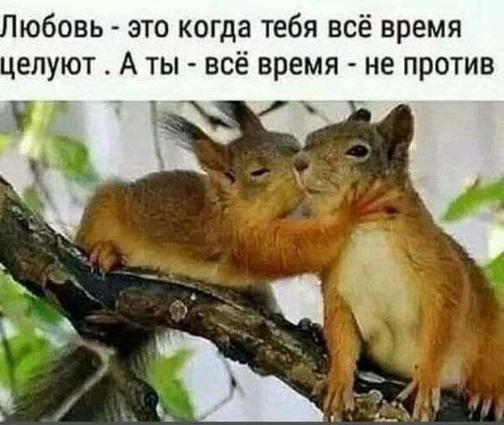 юбовь это когда тебя всё время целуют А ты всё время не против