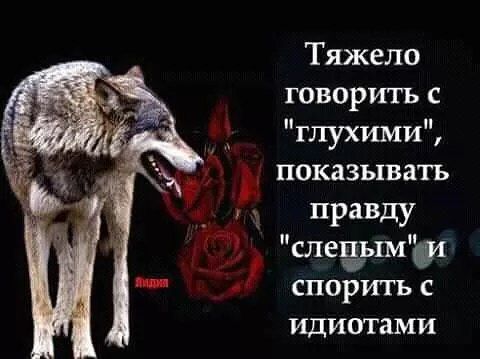 Тяжело говорить с ГЛУХИЬЕИ показывать 1 правду слечымш спорить с идиотами