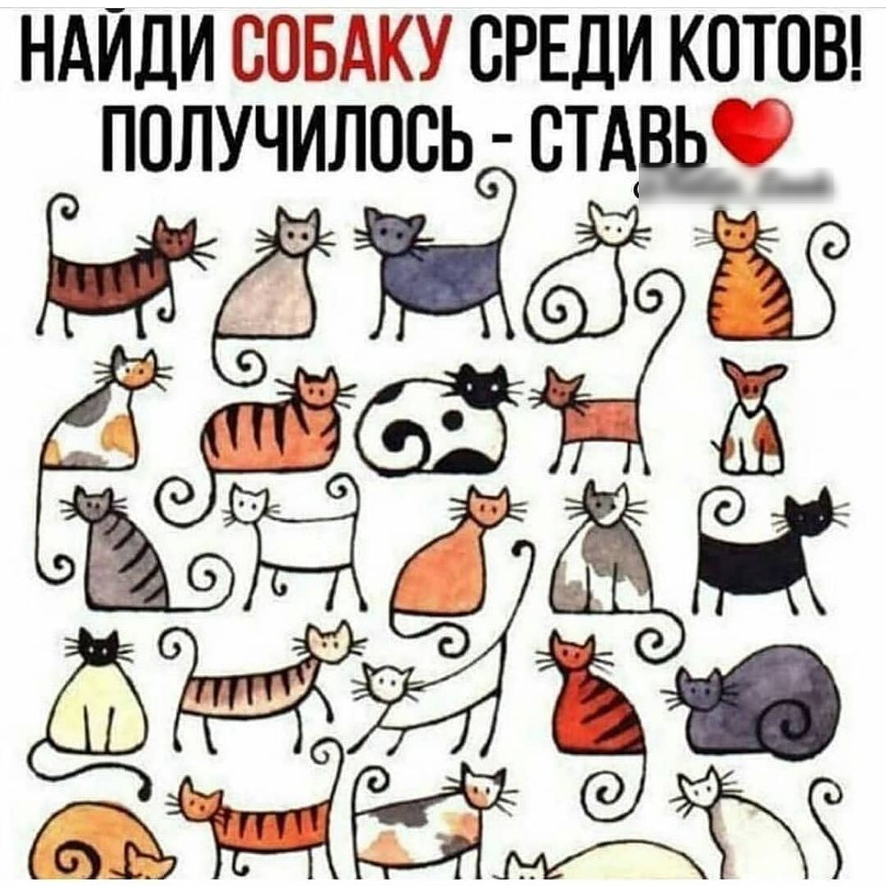 НАЙДИ випадку СРЕДИ кетон получилось швы _г_ МЁЁ
