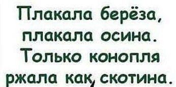 Плакала берёза плакала осина Только конопля ржала как скотина