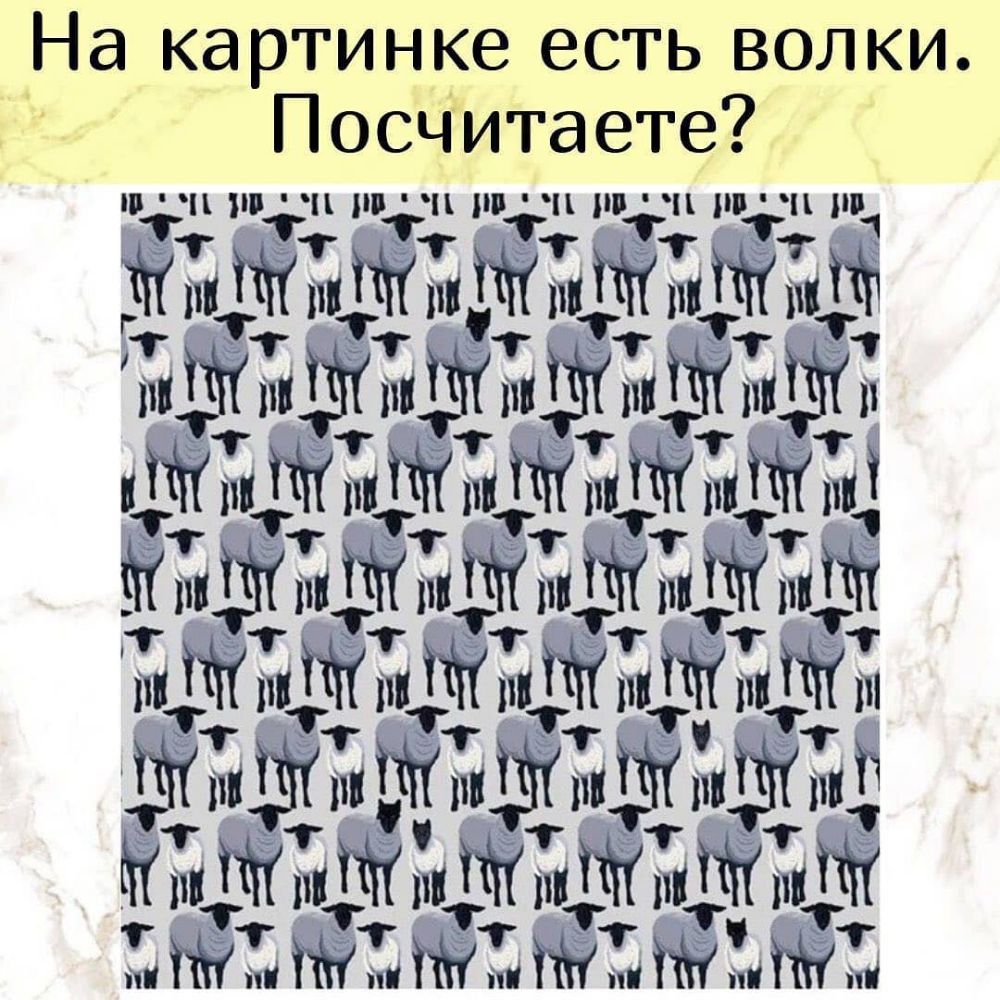 На картинке есть волки Посчитаете Ш1Ш д ППН П П 11 Мпктімтйгшйёгіймйймт 35 м на п впккпнмм піпіиіпі ПМММММШ 331111331 мЙГпкЁтГпп пишиш Минінпин ні ТЖТ М 1 М 1