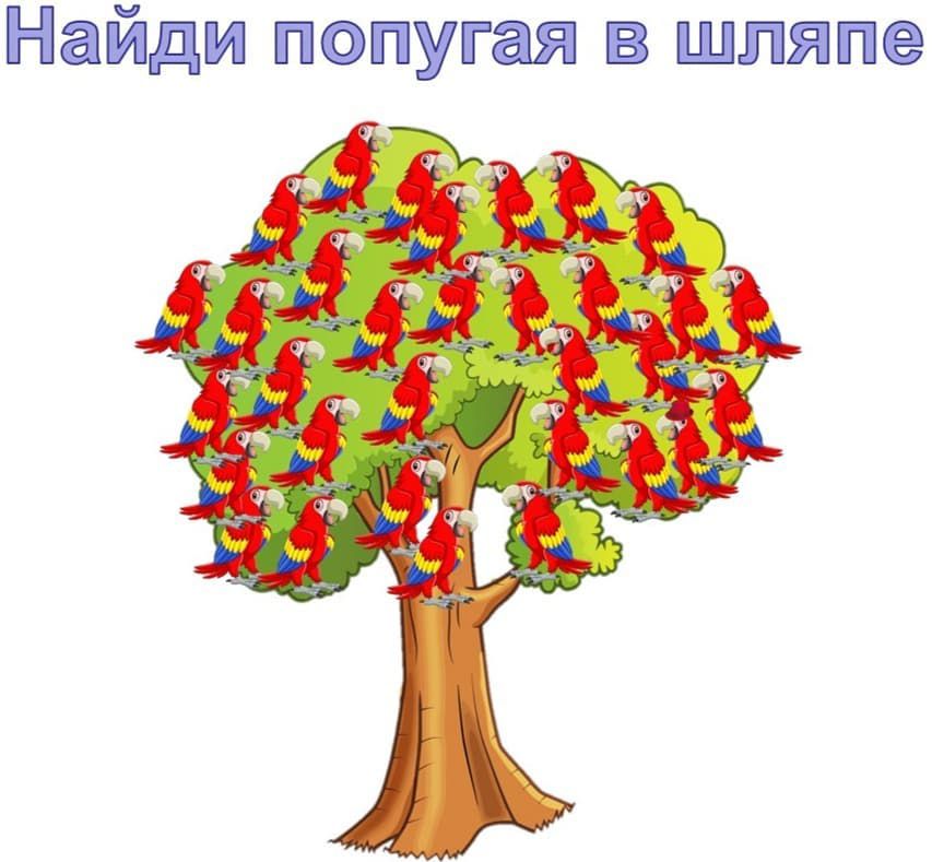 Найди попугая в шляпе