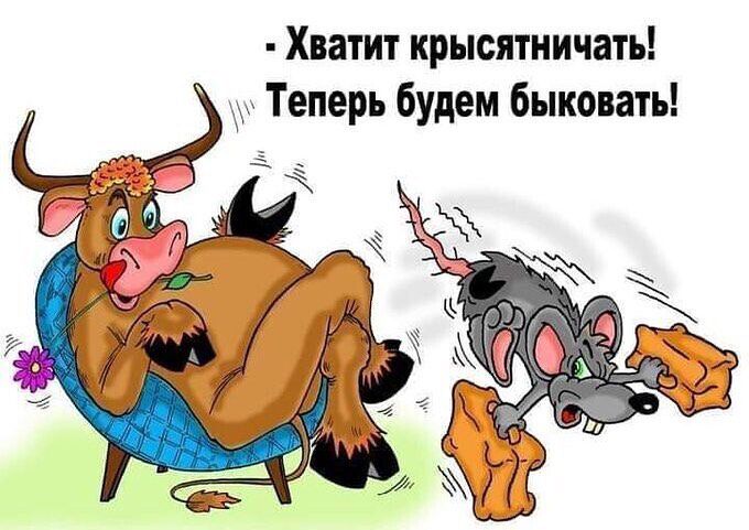 Хватит крысятничать Теперь будем быковать