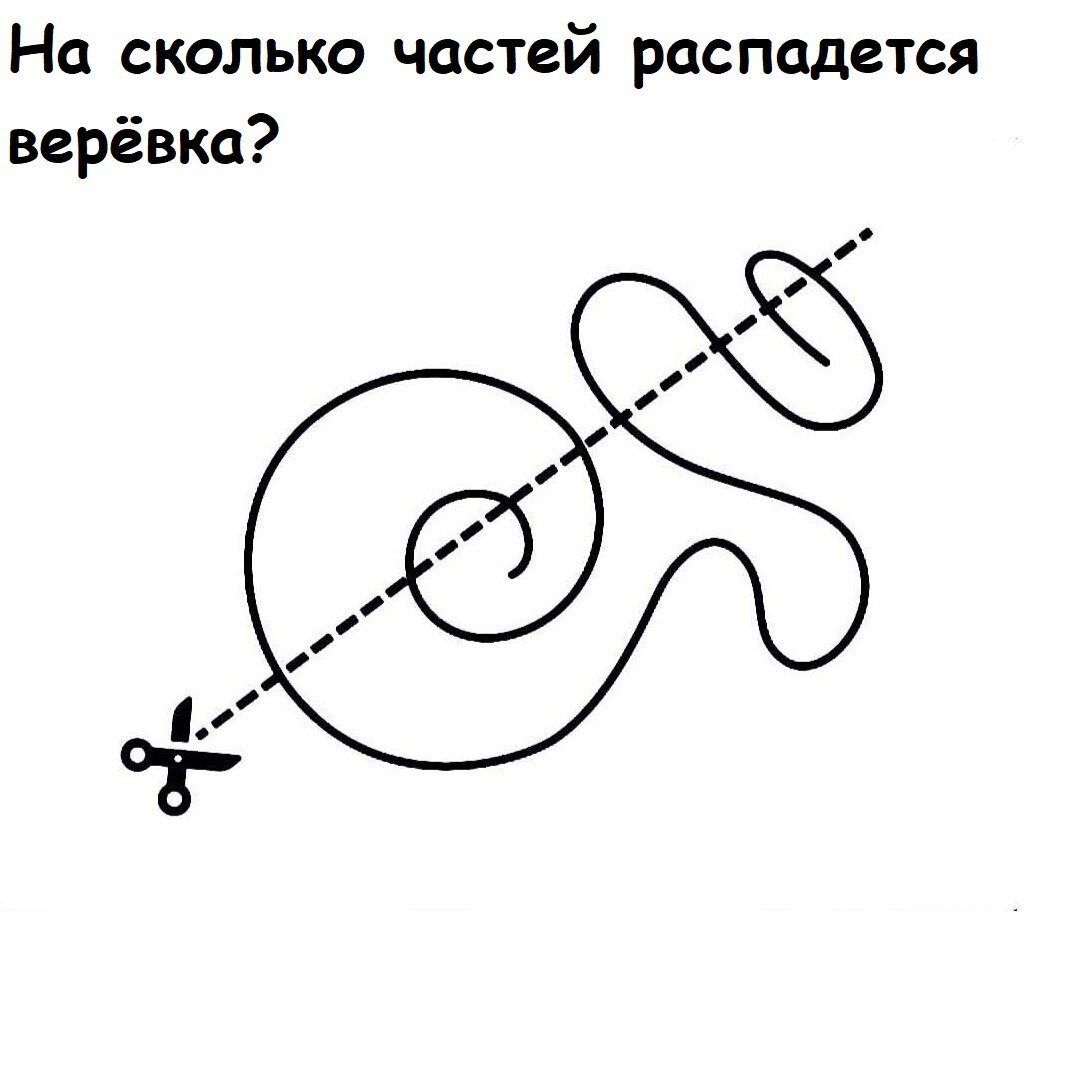 На сколько частей распадется верёвка