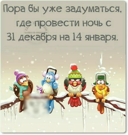 Пора бы уже задуматься где пр9вести ночь с 31 дёкабря на 14 января