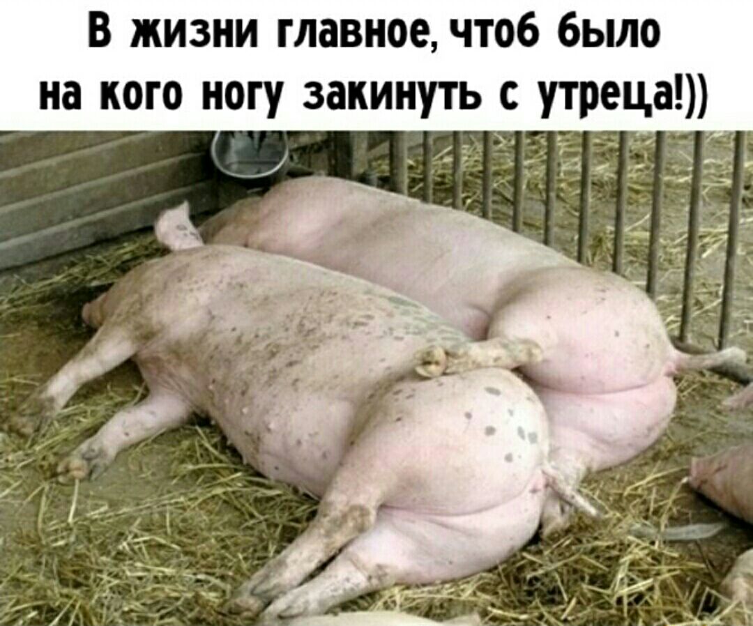 В жизни главное чтоб было