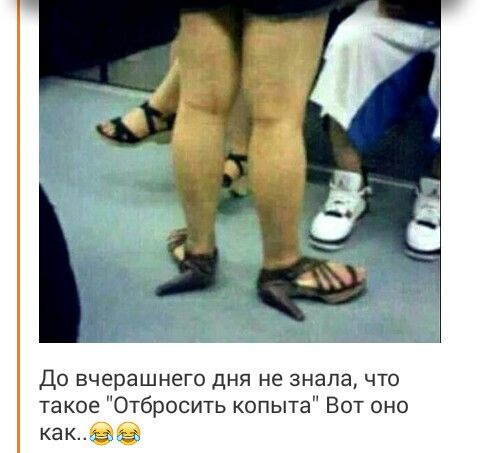 До вчерашнего дня не знала что такое Отбросить копыта Вот оно