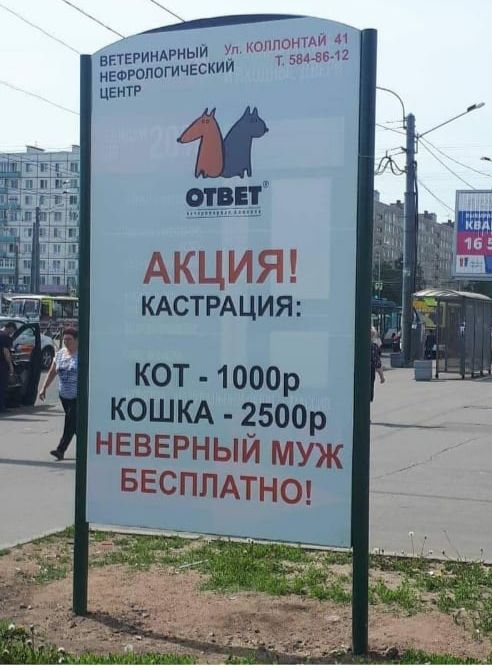 внтвгиндгный УПОПГ1РПТЁБ12 неогопагич чески ий АКЦП и КАСТРАЦИЯ КОТ 1000р КШКА 2500р НЕВЕРНЫЙ муж БЕСПЛАТНО