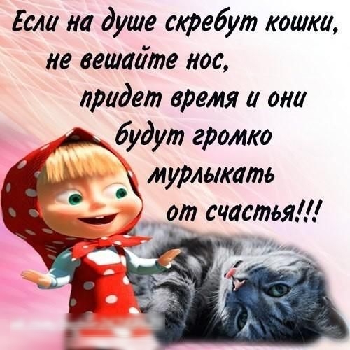 Если на душе скребут кошки не вешайте нос придет время а они Абддут громо м урлыкать _ от счастьяА д