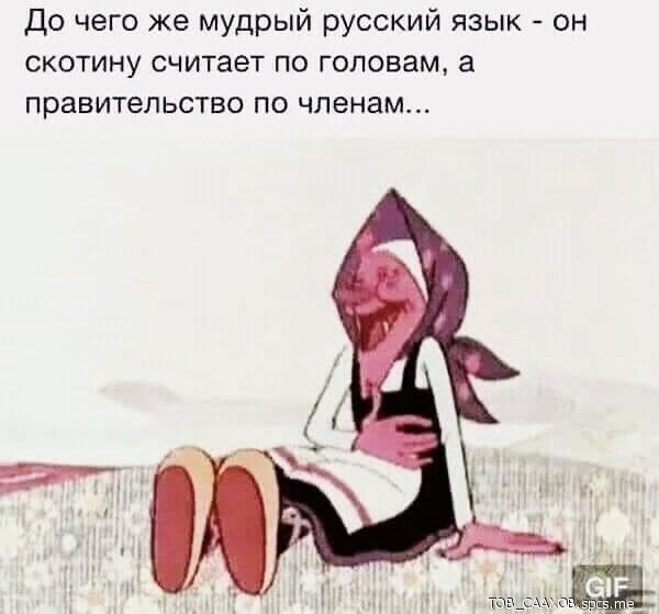 До чего же мудрый русский язык он скотину считает по головам а правительство по членам