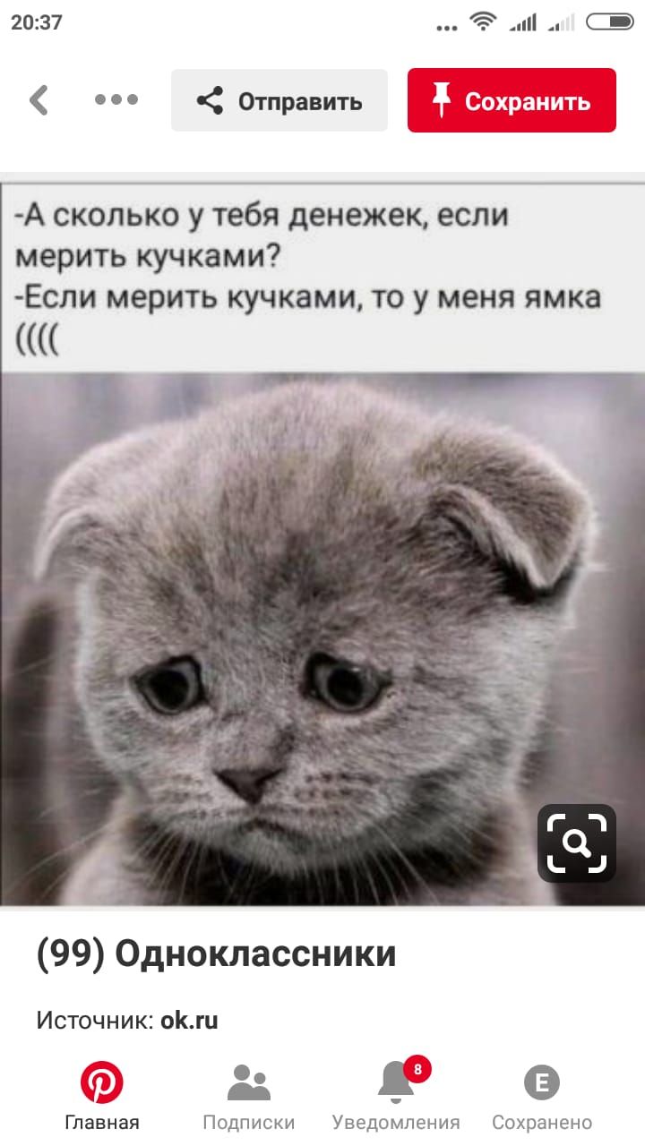 2037 Отправить 5 гчп А сколько у тебя денежек если мерить кучками Если мерить кучками то у меня ямка 99 Одноклассники Источник оги Главная Подписки Уведомления Сохранено