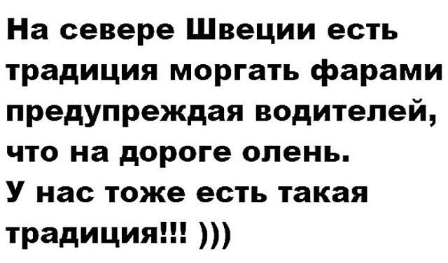 На севере Швеции есть традиция моргать фарами предупреждая водителей что на дороге олень У нас тоже есть такая традиция