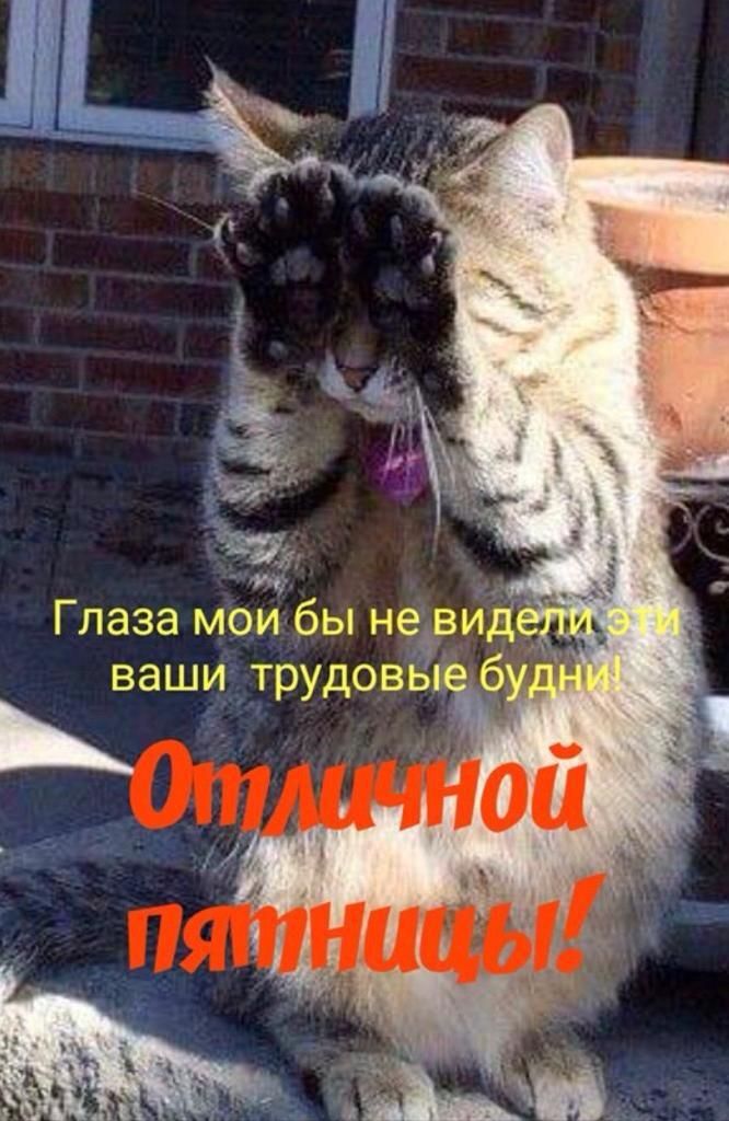 то Глаза мои бы недвид ваши трудовь