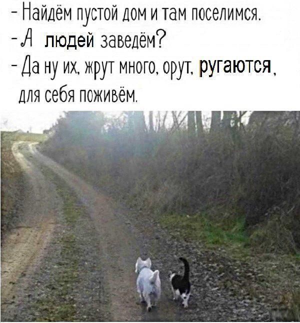 Найдём пустой ДОМ и там поселимся А людей завелём Да ну их жрут много орут ругаются Для себя поживём