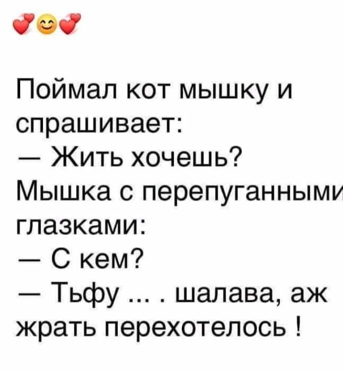 О Поймал кот мышку и спрашивает Жить хочешь Мышка с перепуганныму глазками С кем Тьфу шалава аж жрать перехотелось