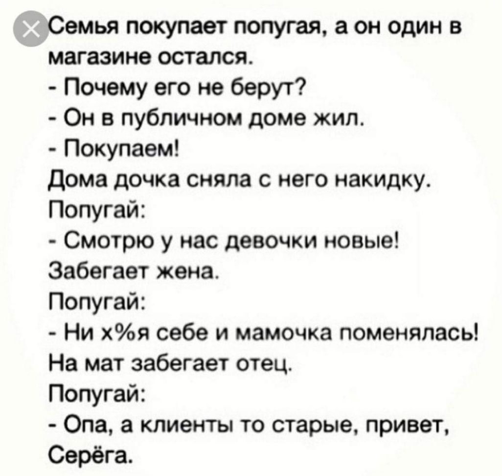 Семья покупает попугая а он один в магазине остался Почему его не берут Он в публичном доме жил Покупаем Дома дочка сняла с него накидку Попугай Смотрю у нас девочки новые Забегает жена Попугай Ни хя себе и мамочка поменялась На мат забегает отец Попугай Опа а клиенты то старые привет Серёга