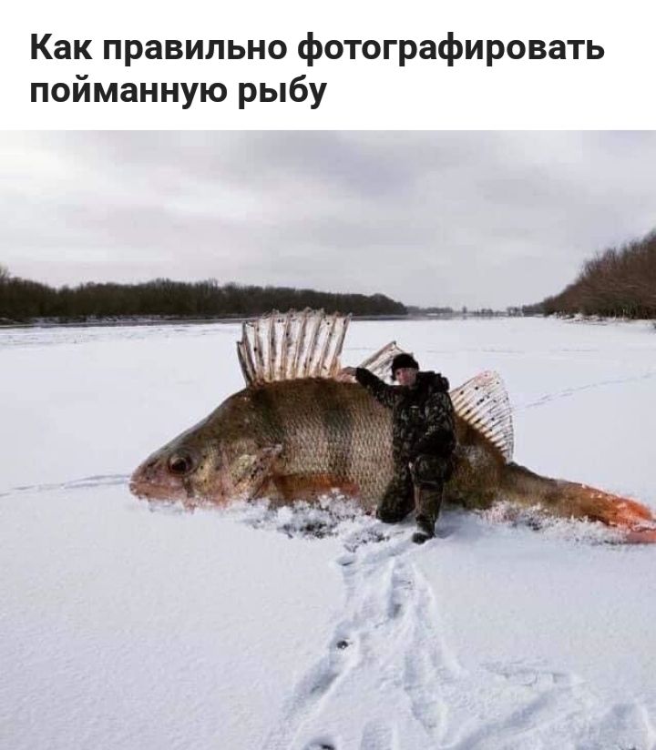 Как правильно фотографировать пойманную рыбу