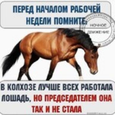 В КПМПЗЕ ЛУЧШЕ ВШ ШШШ пошць ПРЩСЩПЫЕН ОНД ПШ НЕ ШШШ