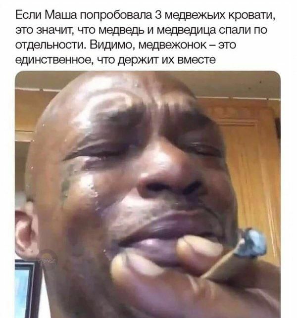 Если Маша попробовала 3 медвежьих кровати ЭТО значит ГГ0 медведь И медведица СПаЛИ ПО отдельности Видимо медвежонок это единственное что держит их вместе