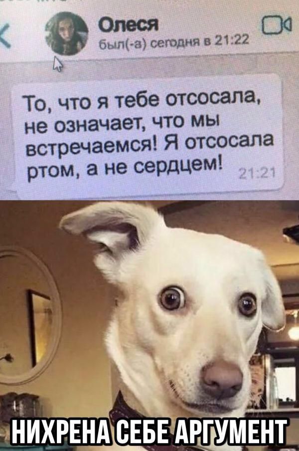 был зоеюдняв21 22 00 Точто я тебе отсосала не означает что мы встречаемся Я отсосала ртом а не сердцем НИХРЕНА СЕБЕ АРГУМЕНТ