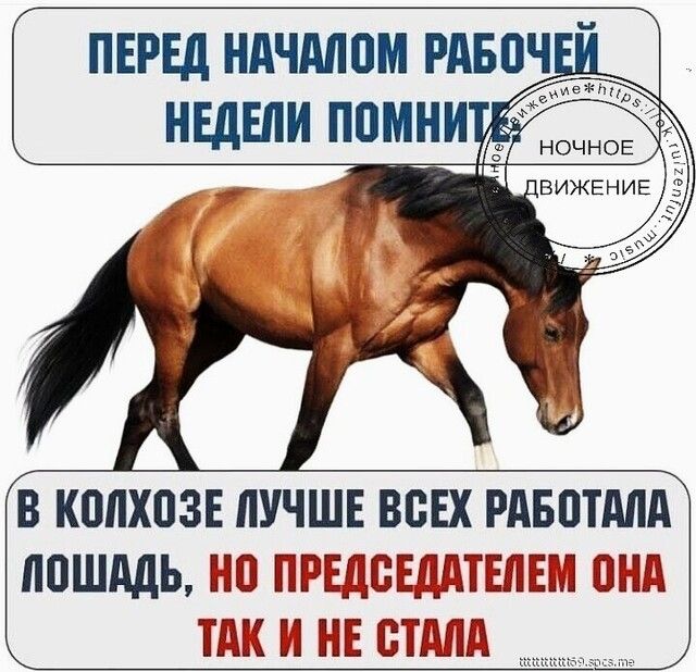 Ъ ПЕРЕД НАЧМПМ РАБПЧ А Ч А НОЧНОЕ ВИЖЕНИЕ 1А в копхпзв пучшв ВБЕХ рдвптдпд пошли на Приватёжики так и нг шдднд