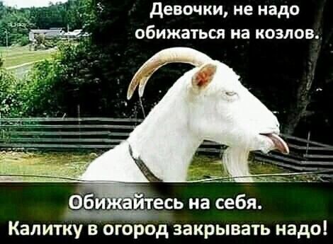 девочки не надо обижаться на козлов Калитиу в огород закрывать надо