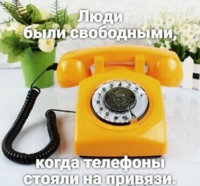 А МНЦ Свищ мдан