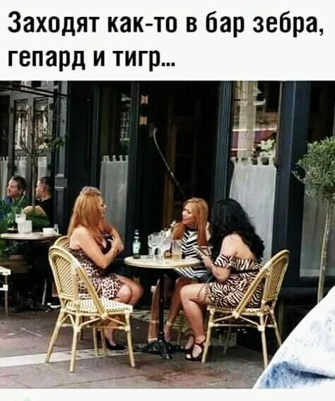 Заходят както в бар зебра Гепард И тигр