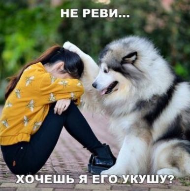 не реви