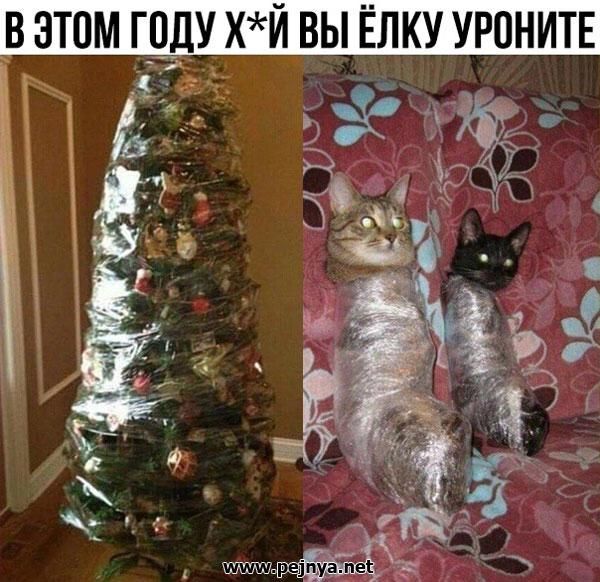 В ЭТОМ ГУ хй ВЫ ЁЛКУ УРОНИТЕ