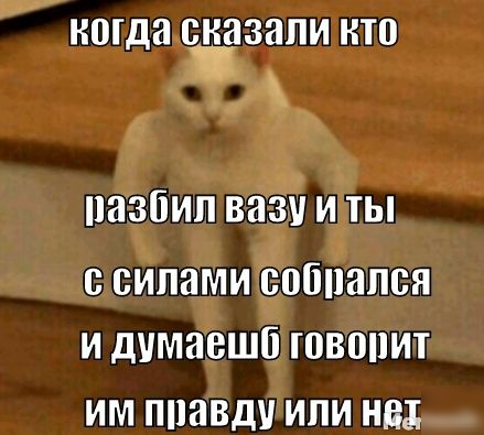 НШда сказали кто пазбип вазу и ты с силами собпапся и думаешб ювопит им ппавду или не