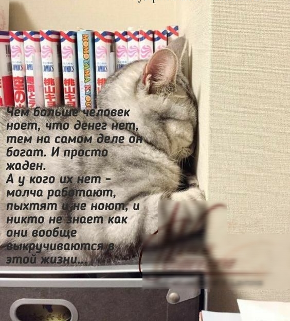 тем на СПМ богат И пр жаден А у кого молча р пыхтят никто и лиц фо тот Е МОЮ еткак
