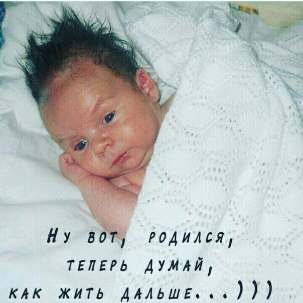 Ну на годился тглпь думй мк жить дмьшг