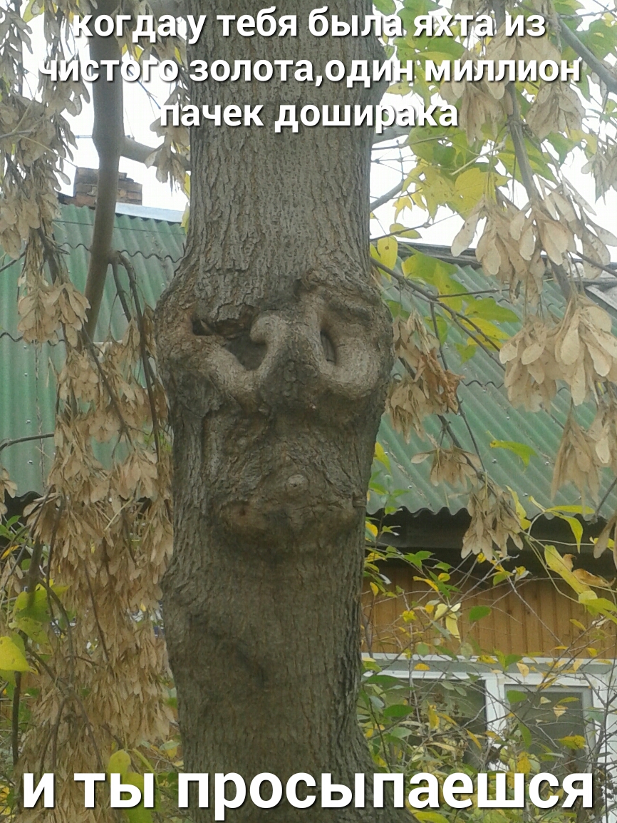 А4 ад __д дх Б _ Ущцткмщ33ч ч Я _гтъч г