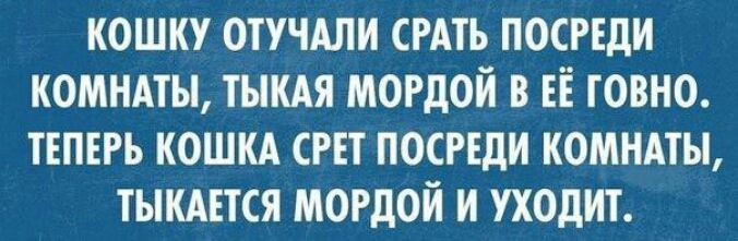 кошку отучдли СРАТЬ посиди комндты тыкдя мордой в ЕЁ говно твпврь кошкд сш посреди комндты тыкшся мордой и уходит