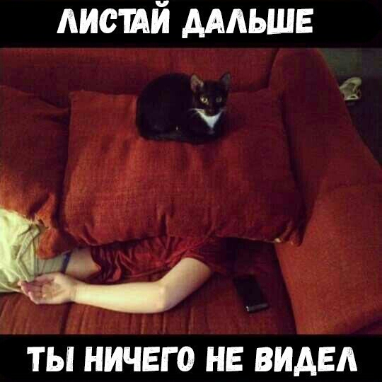 АИСШЙ дмьшв па ТЫ НИЧЕГО НЕ ВИАЕА