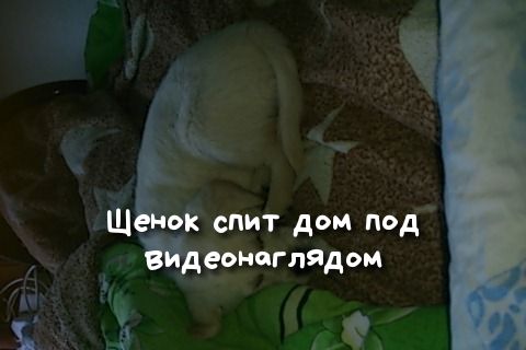 Щ ой спит дом под ёомпгпЯдом д _ г
