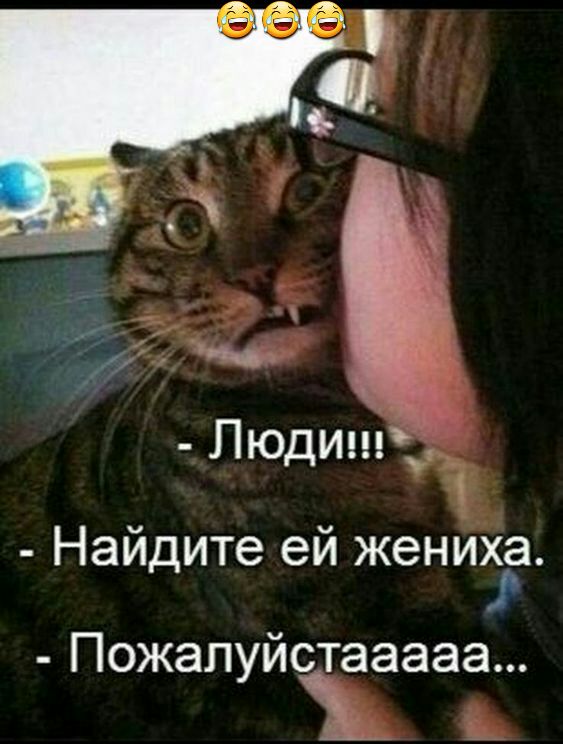Люцита _ 1 Найдите ей женибіа Пожалуйстааааа
