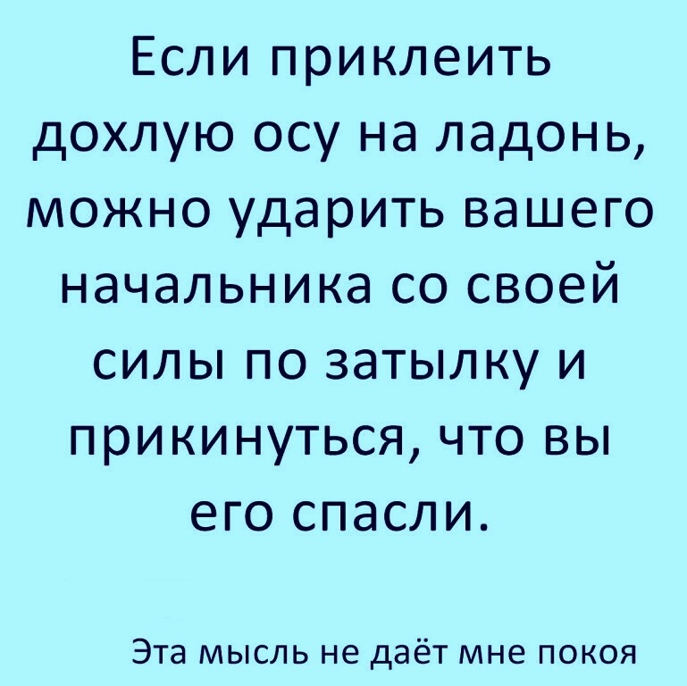 Если приклеить дохлую осу на ладонь можно ударить вашего начальника со своей силы по затылку и прикинуться что вы его спасли Эта мысль не даёт мне покоя