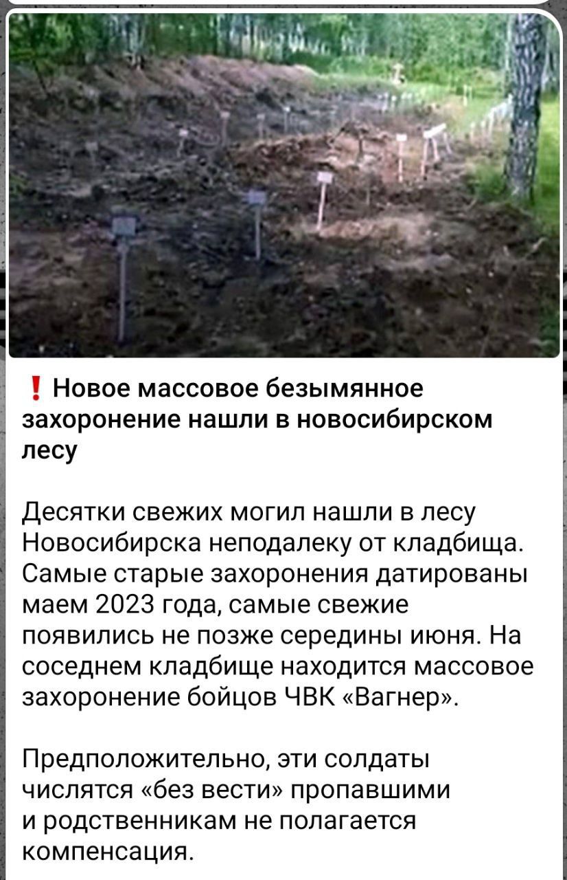Новое массовое безымянное захоронение нашли в новосибирском лесу ДЕСЯТКИ СВЕЖИХ МОГИП нашли В лесу Новосибирска неподалеку от кладбища Самые старые захоронения датированы маем 2023 года самые свежие ПОЯВИЛИСЬ не ПОЗЖЕ середины ИЮНЯ На соседнем кладбище находится массовое захоронение бойцов ЧВК Вагнер Предположительно эти солдаты ЧИСПЯТСЯ без ВЕСТИ пропавшими и родственникам не полагается КОМПЕНСЭЦ