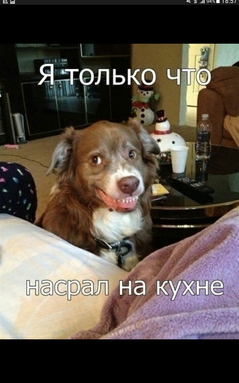 ШЪН